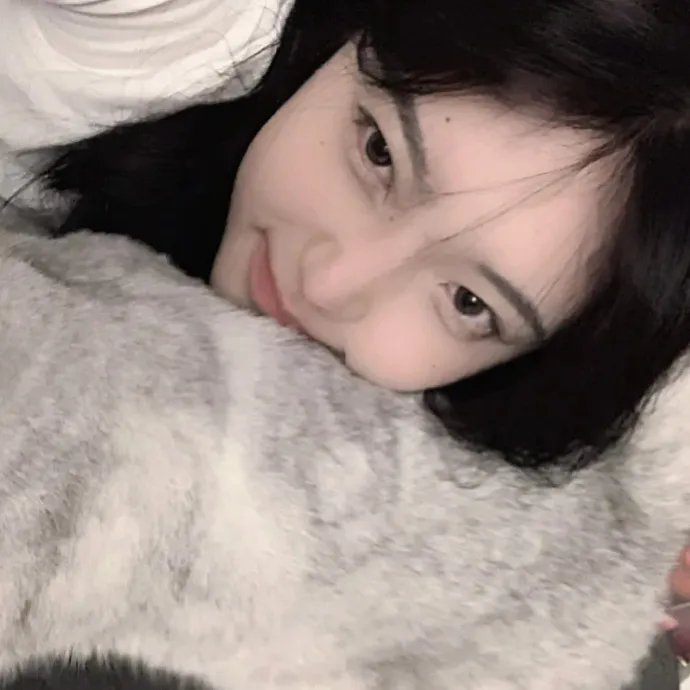 春光灿烂猪八戒2000