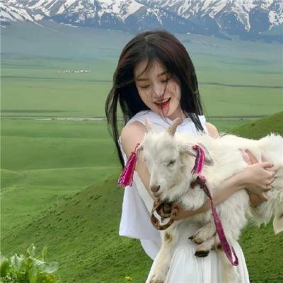 小狗丹的物语